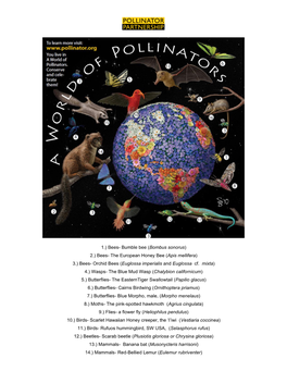 “A World of Pollinators” Poster