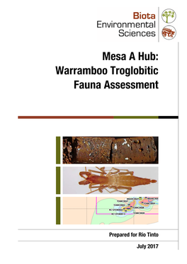 Mesa a Hub: Warramboo Troglobitic Fauna Assessment