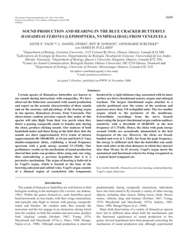 Sound Production and Hearing in Hamadryas Feronia 3691