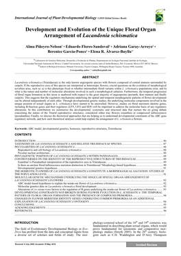 Development and Evolution of the Unique Floral Organ Arrangement of Lacandonia Schismatica