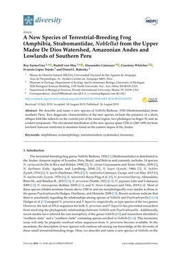 A New Species of Terrestrial-Breeding Frog (Amphibia, Strabomantidae, Noblella) from the Upper Madre De Dios Watershed, Amazonian Andes and Lowlands of Southern Peru