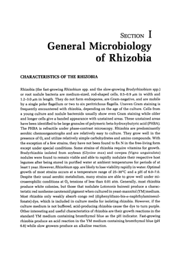 General Microbiology of Rhizobia