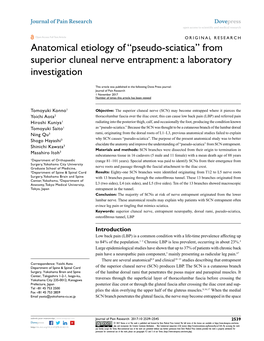 “Pseudo-Sciatica” from Superior Cluneal Nerve Entrapment: a Laboratory Investigation