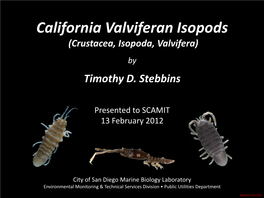 California Valviferan Isopods (Crustacea, Isopoda, Valvifera)