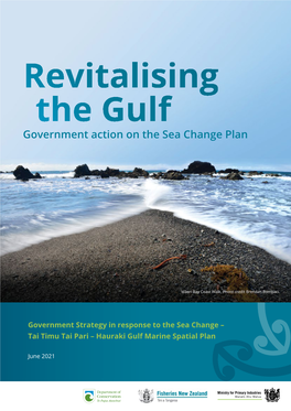 Revitalising the Gulf: Government Action on the Sea Change Plan