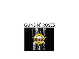 Guns N´ Roses About