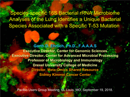 6S Bacterial Rrna Microbiome Analyses of the Lung Identifies a Unique Bacterial Species Associated with a Specific T-53 Mutation