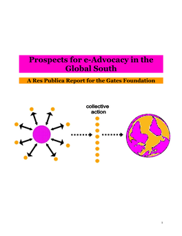 Prospects for E-Advocacy in the Global South