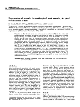 Degeneration of Axons in the Corticospinal Tract Secondary To