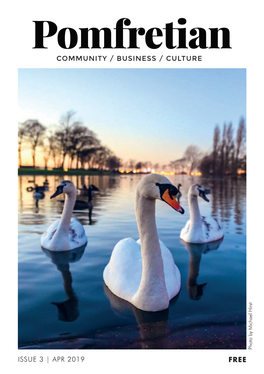 Community / Business / Culture Issue 3