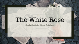 White Rose Study Guide