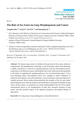 The Role of Sox Genes in Lung Morphogenesis and Cancer
