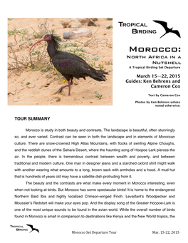 Morocco: North Africa in a Nutshell a Tropical Birding Set Departure