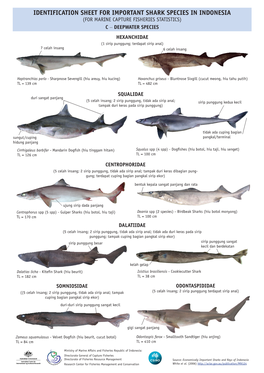 Identification Sheet for Deepwater Sharks