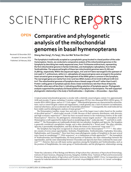 Comparative and Phylogenetic Analysis of the Mitochondrial