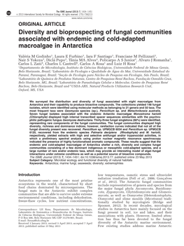 Diversity and Bioprospecting of Fungal Communities Associated with Endemic and Cold-Adapted Macroalgae in Antarctica