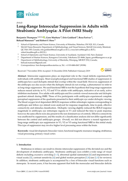 Long-Range Interocular Suppression in Adults with Strabismic Amblyopia: a Pilot Fmri Study