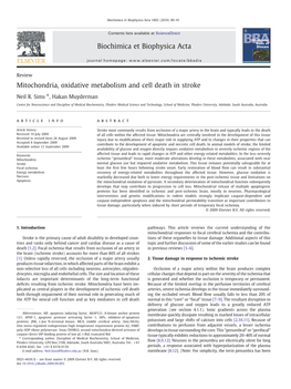 Mitochondria, Oxidative Metabolism and Cell Death in Stroke