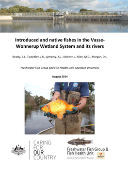Introduced and Native Fishes in the Vasse- Wonnerup Wetland System
