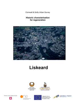 Liskeard Main Report