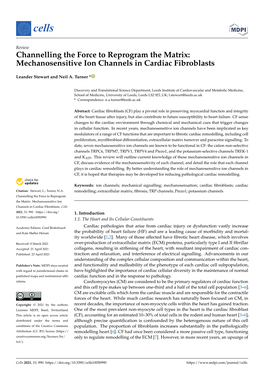 Mechanosensitive Ion Channels in Cardiac Fibroblasts