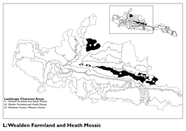 Wealden Farmland and Heath Mosaic