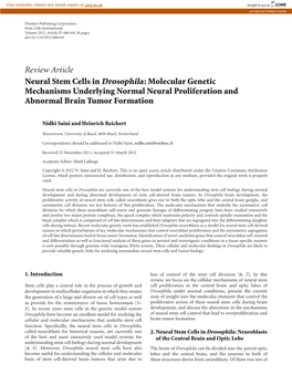 Review Article Neural Stem Cells in Drosophila: Molecular Genetic Mechanisms Underlying Normal Neural Proliferation and Abnormal Brain Tumor Formation