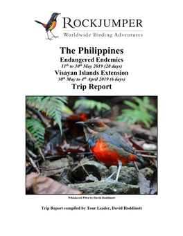 The Philippines Endangered Endemics 11Th to 30Th May 2019 (20 Days) Visayan Islands Extension 30Th May to 4Th April 2019 (6 Days) Trip Report