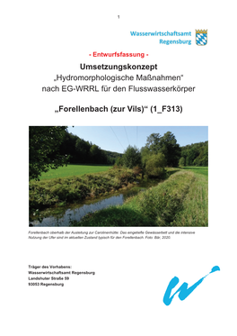 Entwurf Umsetzungskonzept Forellenbach Zur Vils (1 F313)