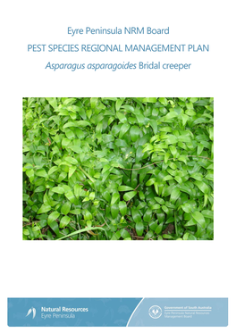 Eyre Peninsula NRM Board PEST SPECIES REGIONAL MANAGEMENT PLAN Asparagus Asparagoides Bridal Creeper