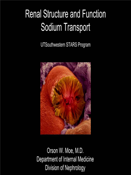 Renal Structure and Function Sodium Transport