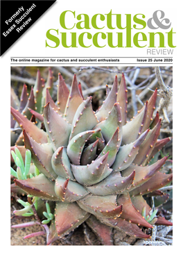 Formerly Essex Succulent Review