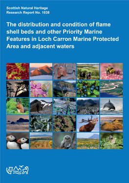 The Distribution and Condition of Flame Shell Beds and Other Priority Marine Features in Loch Carron Marine Protected Area and Adjacent Waters