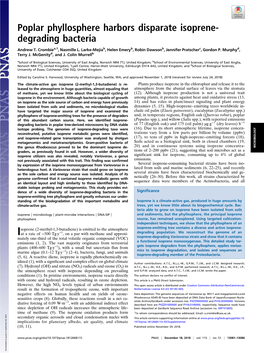 Poplar Phyllosphere Harbors Disparate Isoprene-Degrading Bacteria