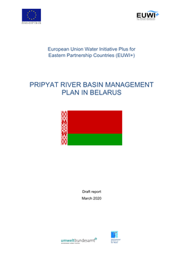 Pripyat River Basin Management Plan in Belarus