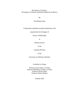 Perceptions of Violence and Political Behavior in Mexico