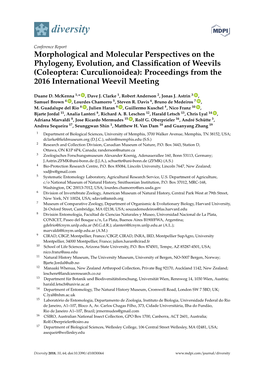 Morphological and Molecular Perspectives on the Phylogeny