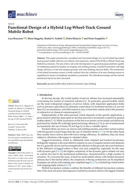 Functional Design of a Hybrid Leg-Wheel-Track Ground Mobile Robot