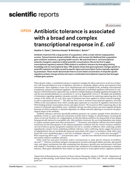 Antibiotic Tolerance Is Associated with a Broad and Complex Transcriptional Response in E