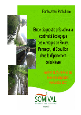 Etude Diagnostic Préalable À La Continuité Écologique Des Ouvrages De Fleury, Panneçot, Et Coeuillon Dans Le Département De La Nièvre