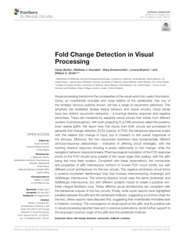 Fold Change Detection in Visual Processing