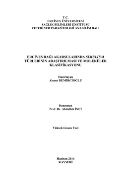 Ercġyes Daği Akarsularinda Simulium Türlerġnġn Araġtirilmasi Ve Moleküler Klasġfġkasyonu