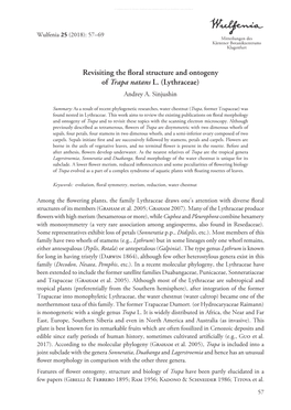 Revisiting the Floral Structure and Ontogeny of Trapa Natans L. (Lythraceae) Andrey A