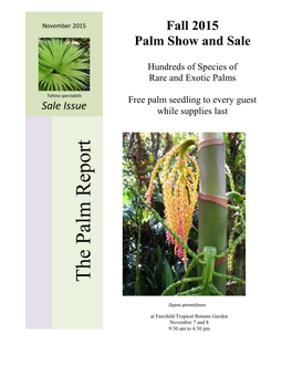 Fall 2015 Palm Sale