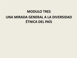 Mirada General a La Diversidad Étnica Y Cultural Del País