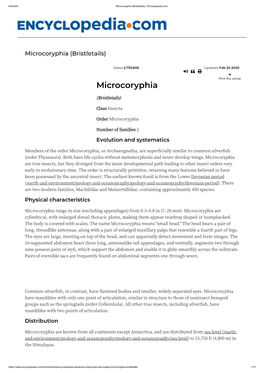 Microcoryphia (Bristletails) | Encyclopedia.Com