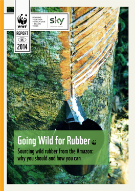 Wild Rubber Trees, Without Harming Them