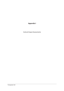 Appendix I Cultural Impact Assessment