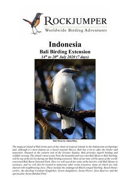 Indonesia Bali Birding Extension 14Th to 20Th July 2020 (7 Days)