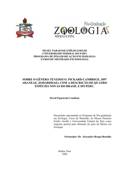 Sobre O Gênero Tenedos O. Pickard-Cambrige, 1897 Araneae, Zodariidae), Com a Descrição De Quatro Espécies Novas Do Brasil E Do Peru